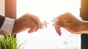 Fusion et absorptions